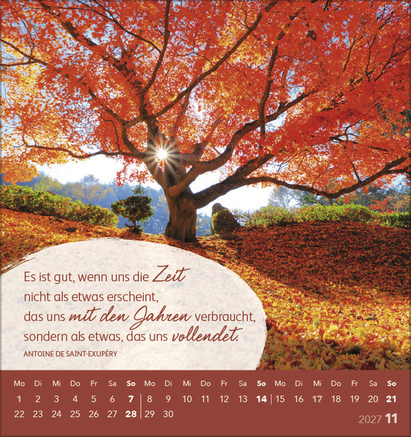 Weitere Ansicht: Schön, dass es dich gibt! 2027