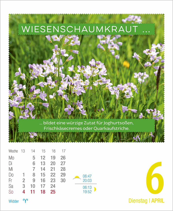 Weitere Ansicht: Gesund & Lecker! 2027