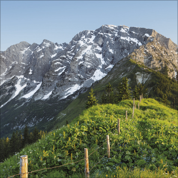 Weitere Ansicht: Alpen 2027