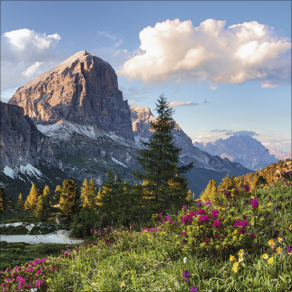 Weitere Ansicht: Alpen 2027