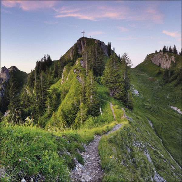 Weitere Ansicht: Alpen 2027