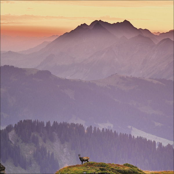 Weitere Ansicht: Alpen 2027