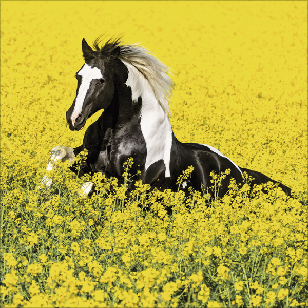 Weitere Ansicht: Horses 2027