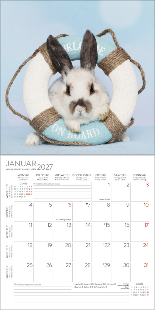 Weitere Ansicht: Kaninchen 2027