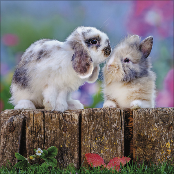 Weitere Ansicht: Kaninchen 2027