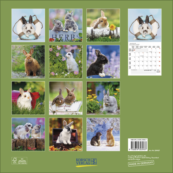 Weitere Ansicht: Kaninchen 2027