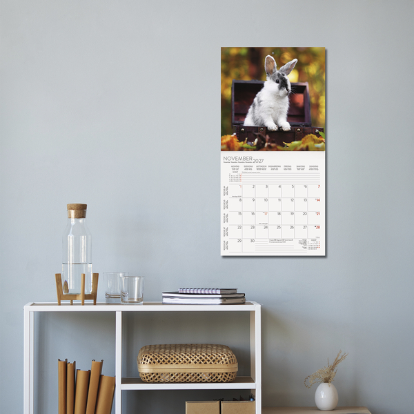 Weitere Ansicht: Kaninchen 2027