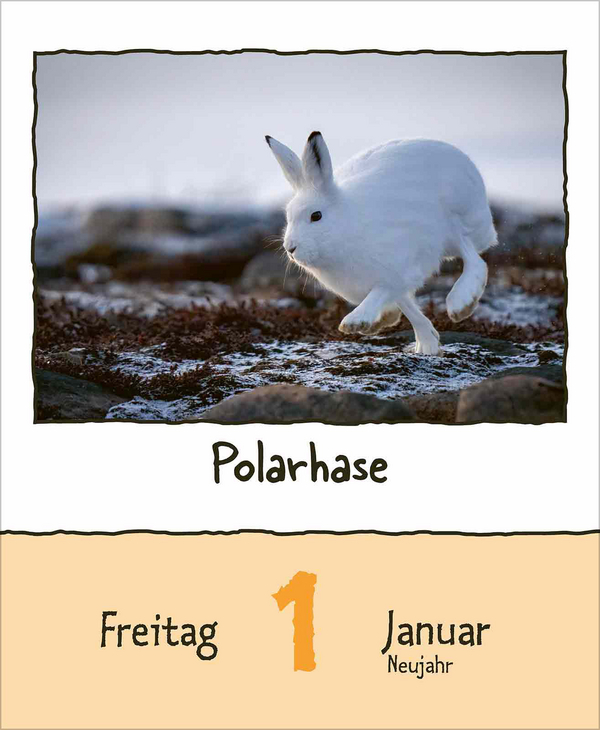 Weitere Ansicht: Tierisch unterwegs 2027