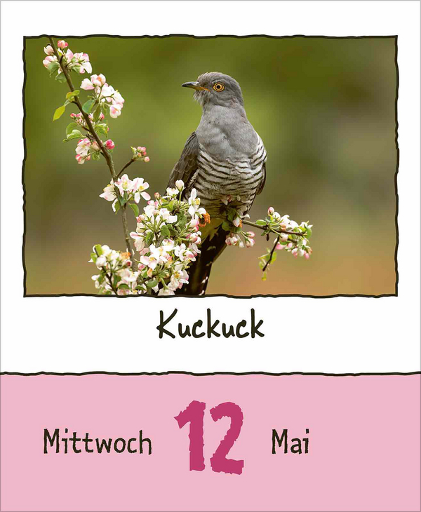 Weitere Ansicht: Tierisch unterwegs 2027