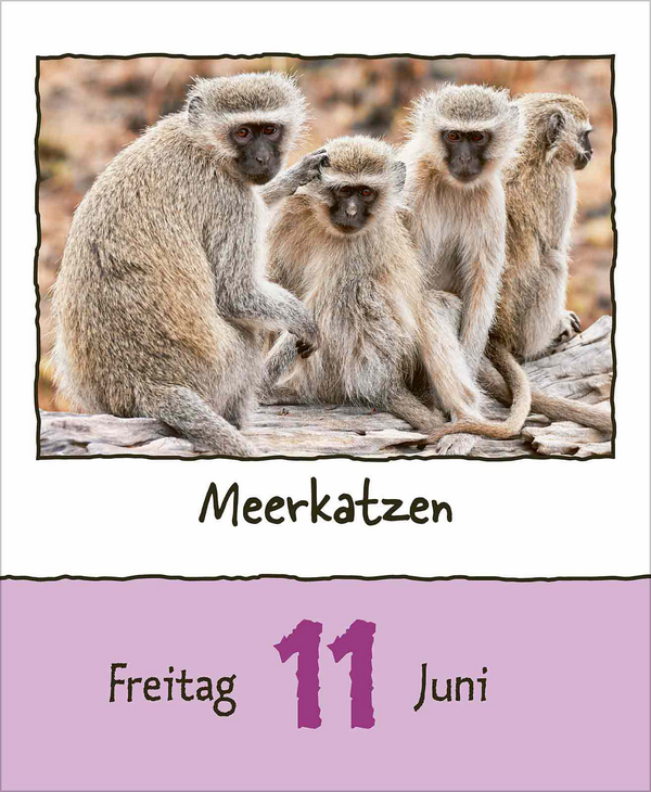 Weitere Ansicht: Tierisch unterwegs 2027