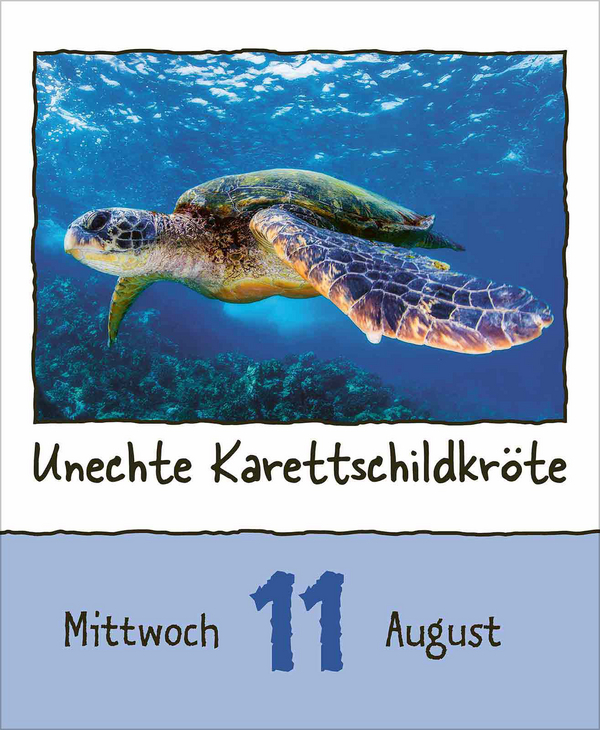 Weitere Ansicht: Tierisch unterwegs 2027