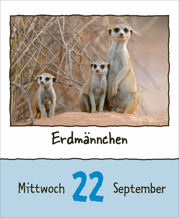 Weitere Ansicht: Tierisch unterwegs 2027