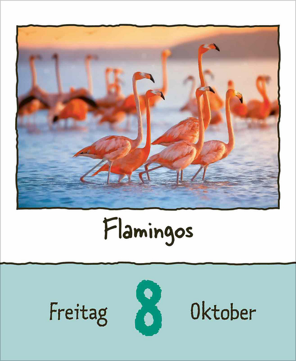 Weitere Ansicht: Tierisch unterwegs 2027