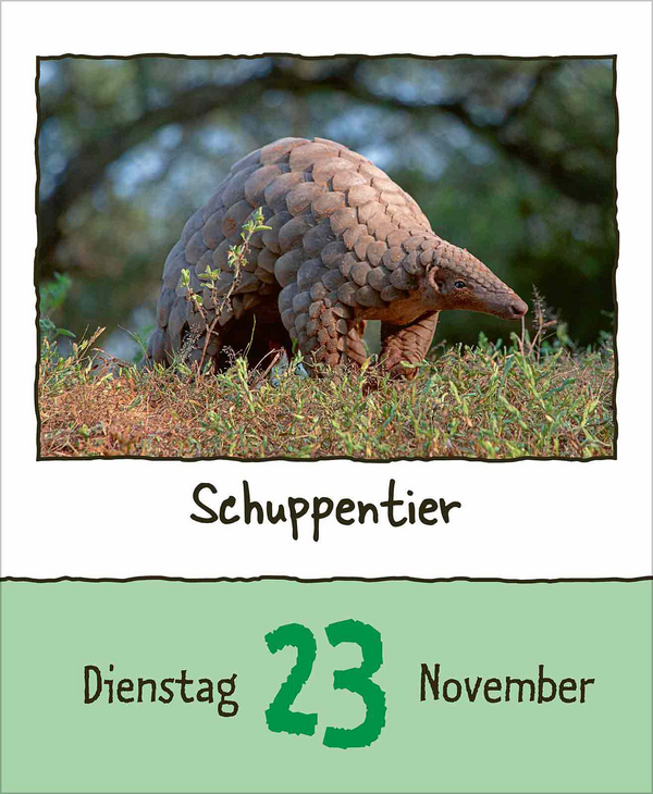 Weitere Ansicht: Tierisch unterwegs 2027