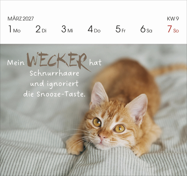 Weitere Ansicht: Katzen 2027