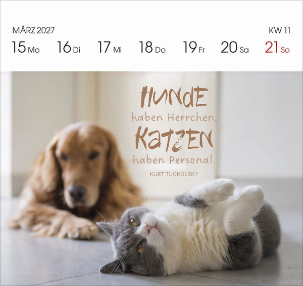 Weitere Ansicht: Katzen 2027