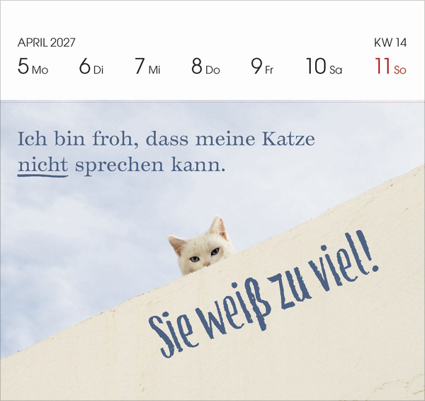 Weitere Ansicht: Katzen 2027