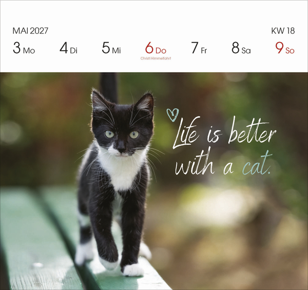 Weitere Ansicht: Katzen 2027