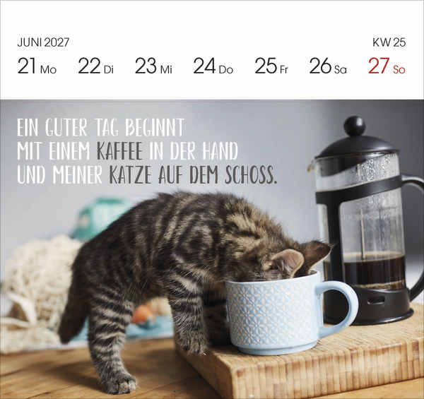 Weitere Ansicht: Katzen 2027