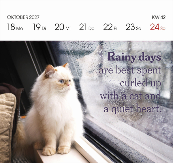 Weitere Ansicht: Katzen 2027