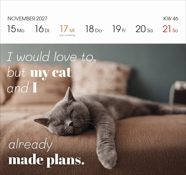 Weitere Ansicht: Katzen 2027