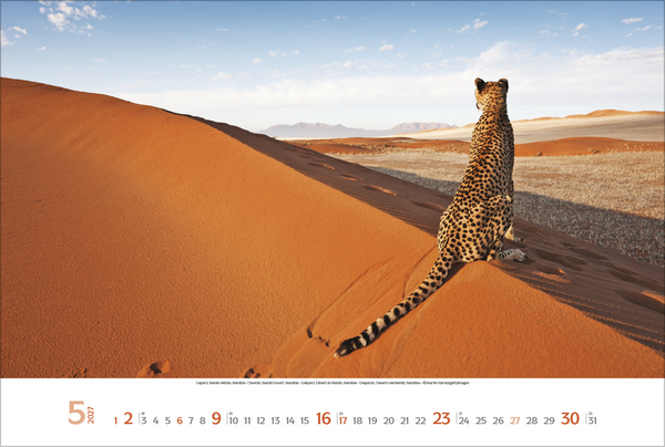 Weitere Ansicht: Sehnsuchtsorte 2027