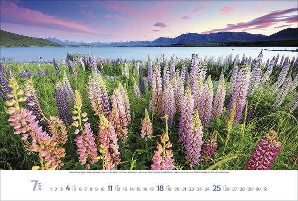 Weitere Ansicht: Sehnsuchtsorte 2027