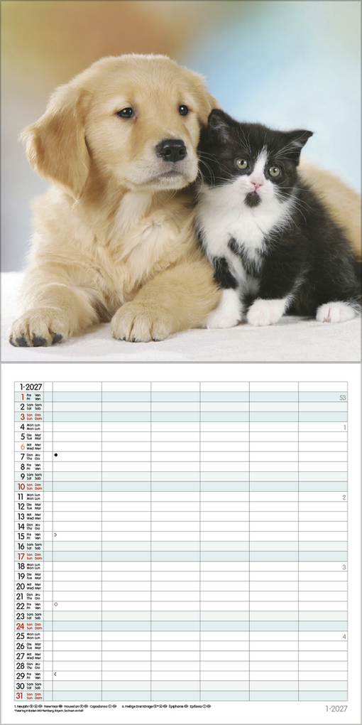 Weitere Ansicht: Tierfreundschaften - Familientimer 2027