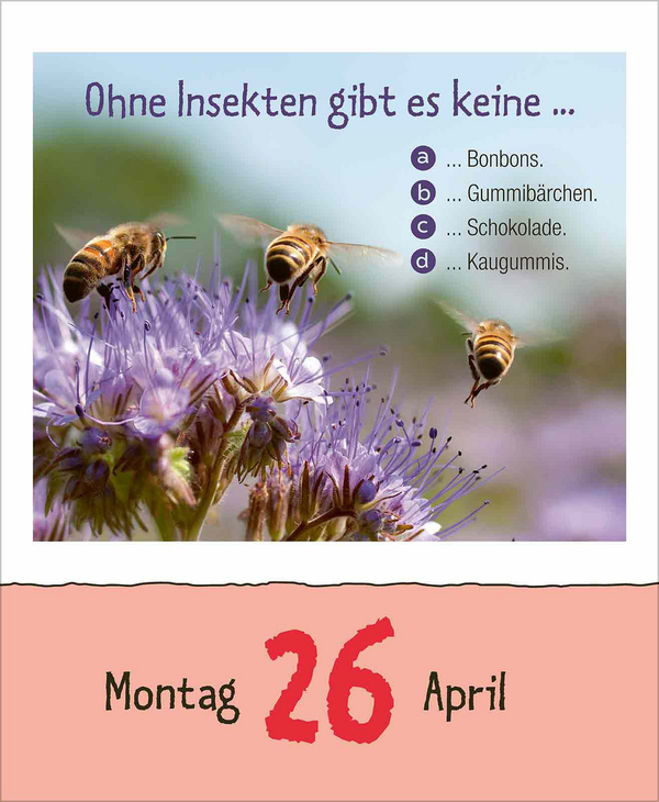 Weitere Ansicht: Vorsicht Geheimwissen 2027