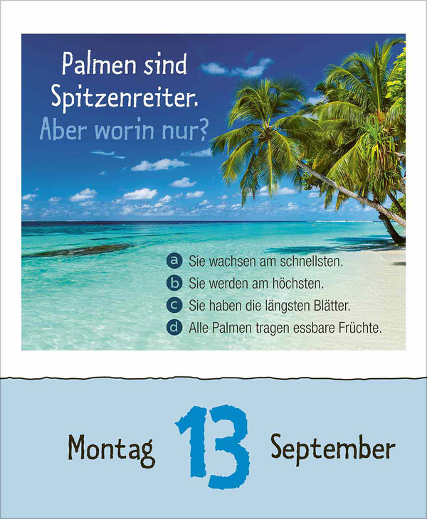 Weitere Ansicht: Vorsicht Geheimwissen 2027