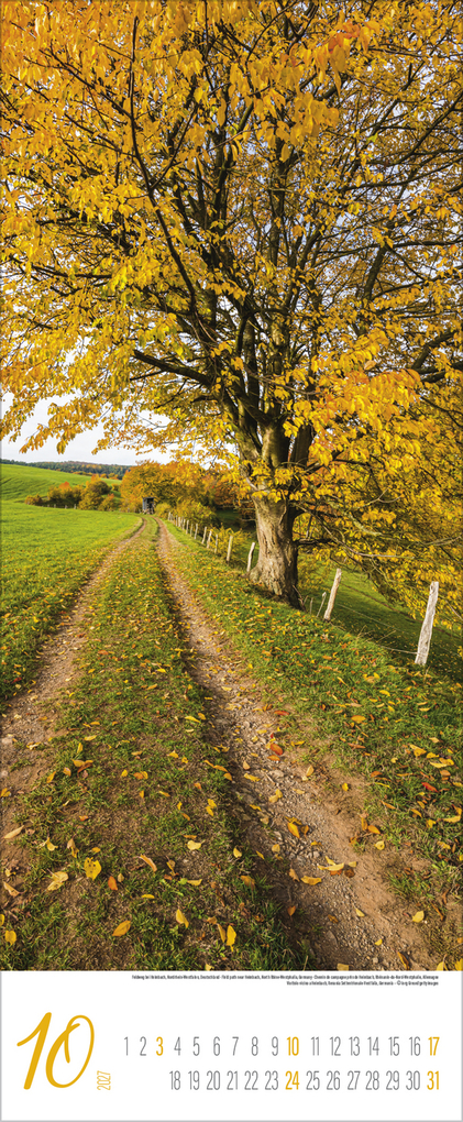 Weitere Ansicht: Zauberhafte Wege 2027