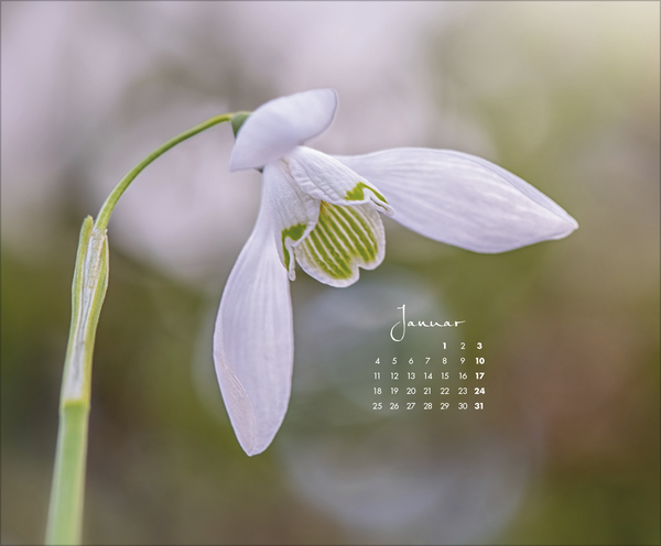 Weitere Ansicht: Floral Art 2027