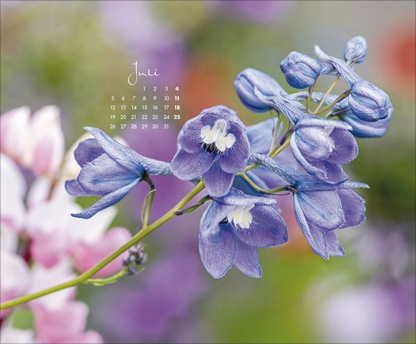 Weitere Ansicht: Floral Art 2027