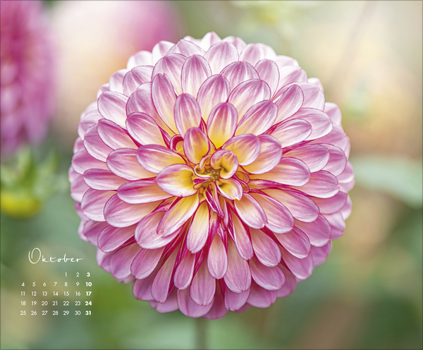 Weitere Ansicht: Floral Art 2027