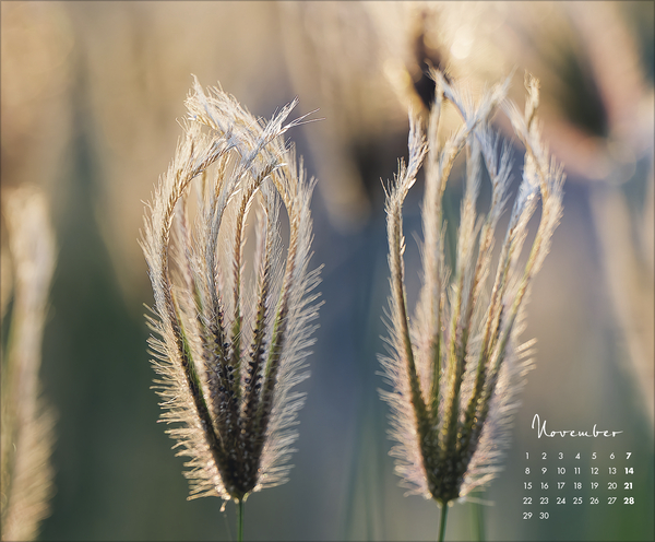 Weitere Ansicht: Floral Art 2027