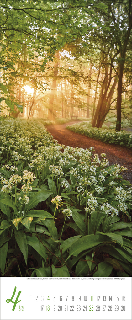 Weitere Ansicht: Augenblicke der Stille 2027