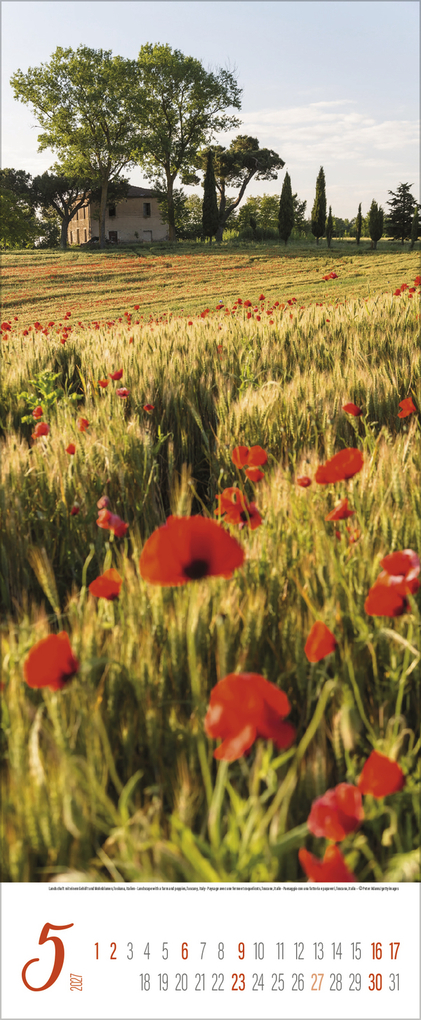 Weitere Ansicht: Augenblicke der Stille 2027