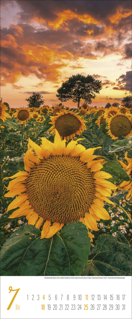 Weitere Ansicht: Augenblicke der Stille 2027