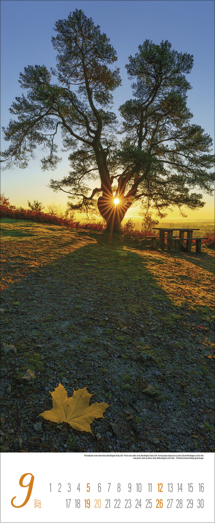 Weitere Ansicht: Augenblicke der Stille 2027