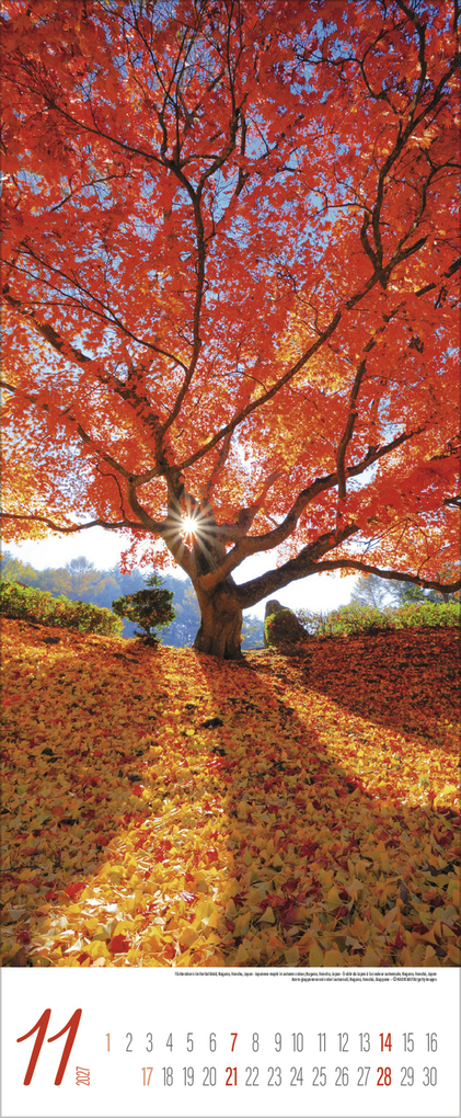 Weitere Ansicht: Augenblicke der Stille 2027