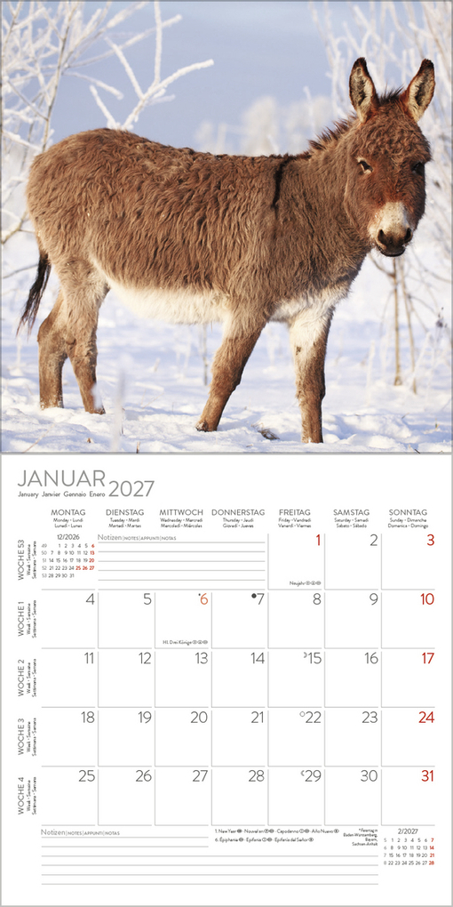 Weitere Ansicht: Esel 2027