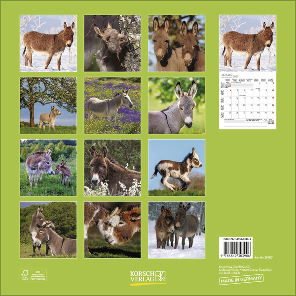 Weitere Ansicht: Esel 2027