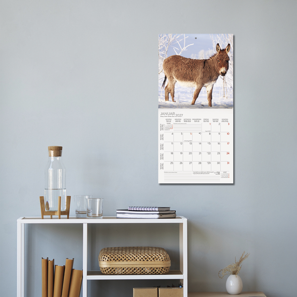 Weitere Ansicht: Esel 2027