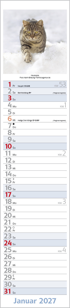 Weitere Ansicht: Katzen Langplaner 2027