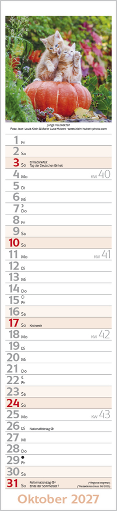 Weitere Ansicht: Katzen Langplaner 2027