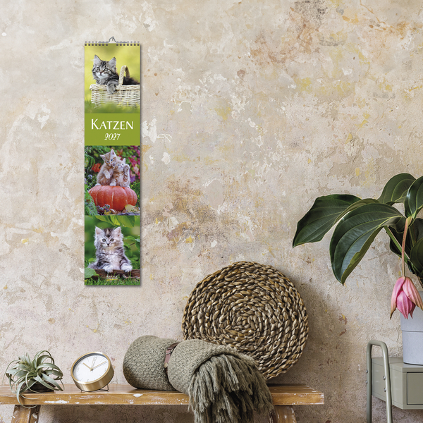 Weitere Ansicht: Katzen Langplaner 2027