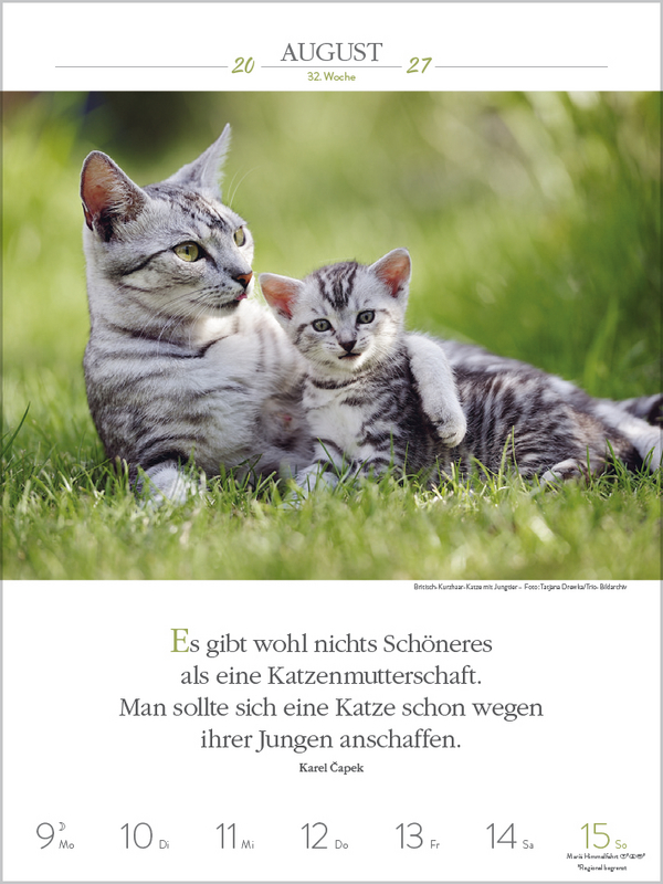 Weitere Ansicht: Literaturkalender Katzen 2027