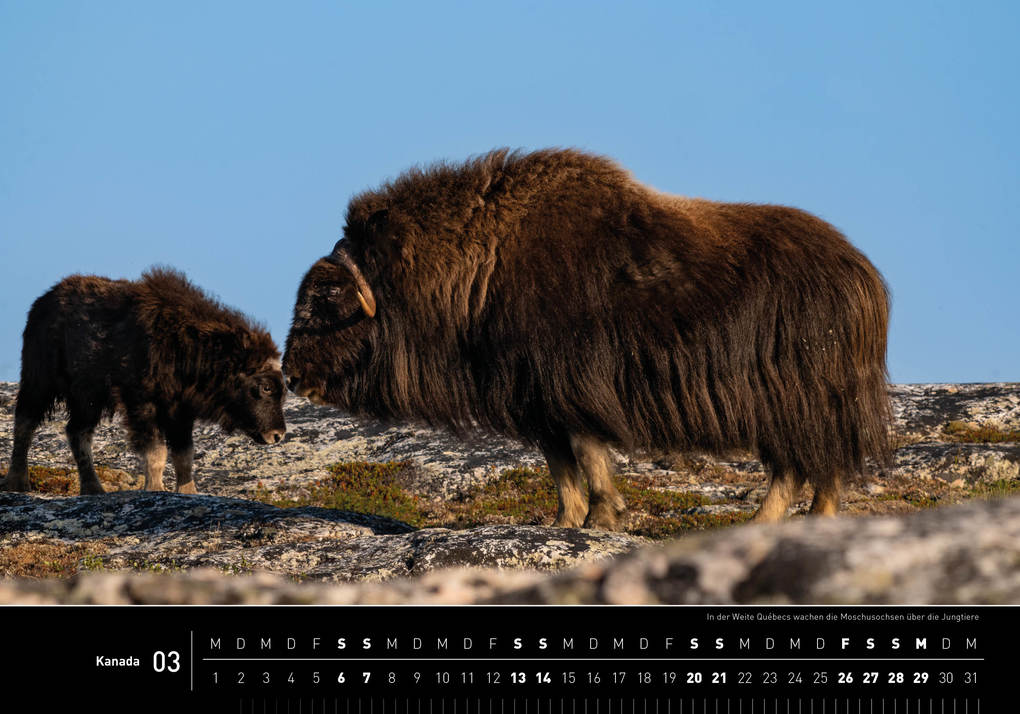 Weitere Ansicht: Kanada Premiumkalender 2027