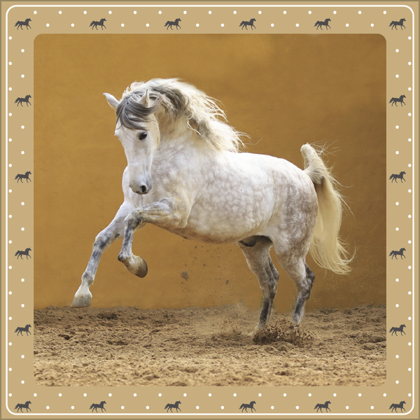 Weitere Ansicht: Pferdekalender 2027