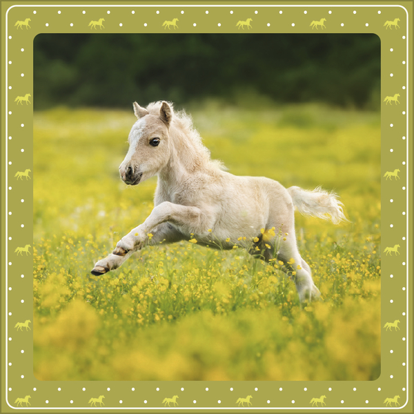 Weitere Ansicht: Pferdekalender 2027